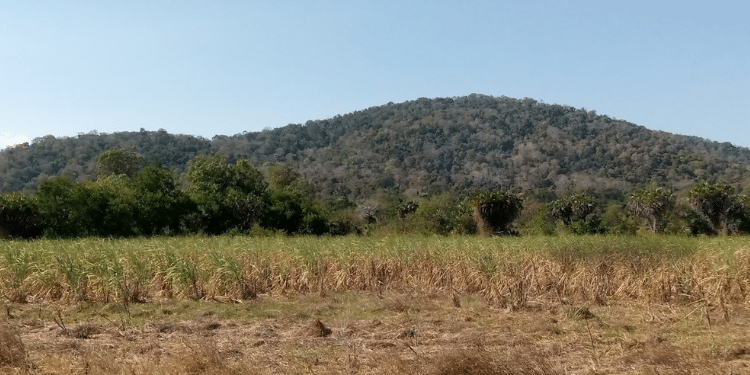 Little-Known Details Of Kenya’s Multibillion Mrima Hill Us And China Are Scrambling For Mrima Hill In Kwale County Photo/Christopher Haslett