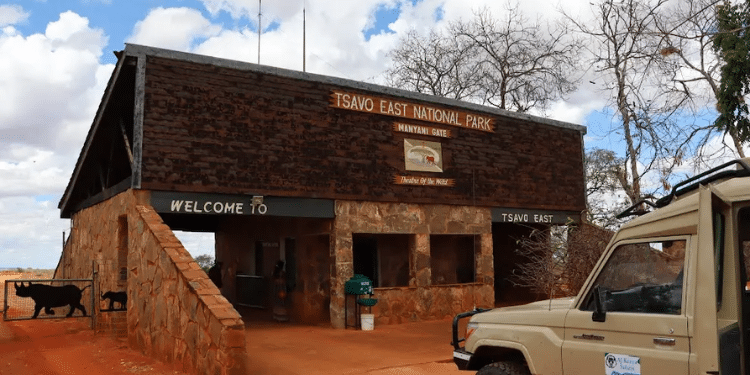 KWS Rescues Family That Went Missing in Tsavo National Park