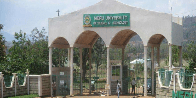 Meru University: Courses Offered, Fees, Location, & Campuses