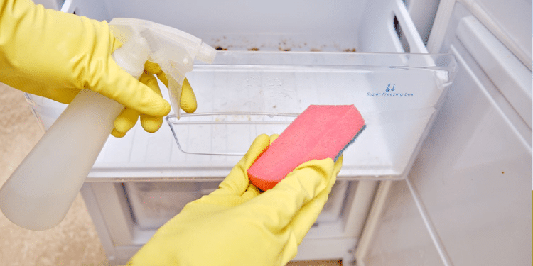 Cleaning a dirty fridge PHOTO/The Spruce