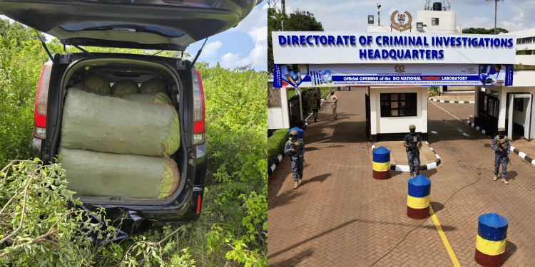 DCI arrests two suspects transporting 250 kgs of bhang valued at Ksh 7.5 million PHOTO/DCI/Nation