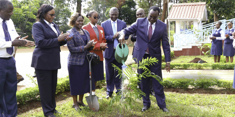 Maryhill Girls School Fees, KCSE Performance & Key Contacts