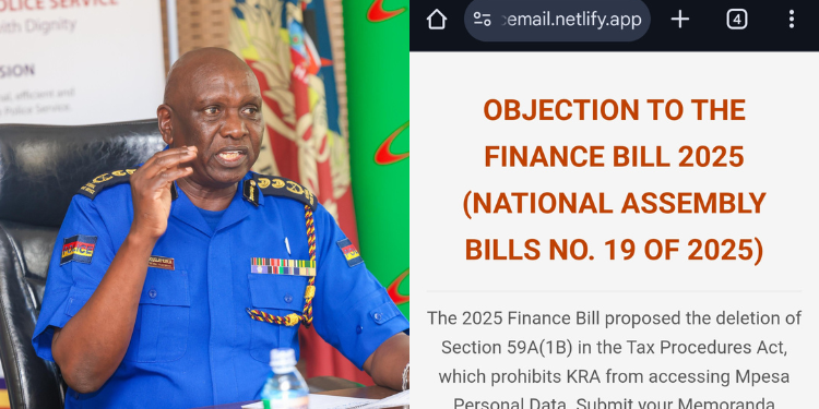 Rose Njeri Arrested Over Alleged Finance Bill 2025 Tweet