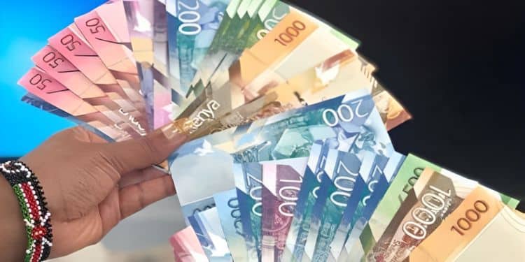 A person holding the Kenyan Shilling.