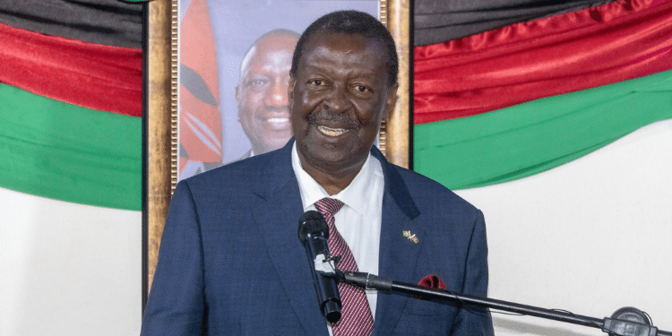 Peter Kagwanja Says Mudavadi Unfit to be Foreign Affairs CS