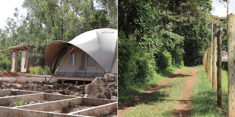KFS Reveals Contractor Behind Ngong Road Forest Eco-Lodge