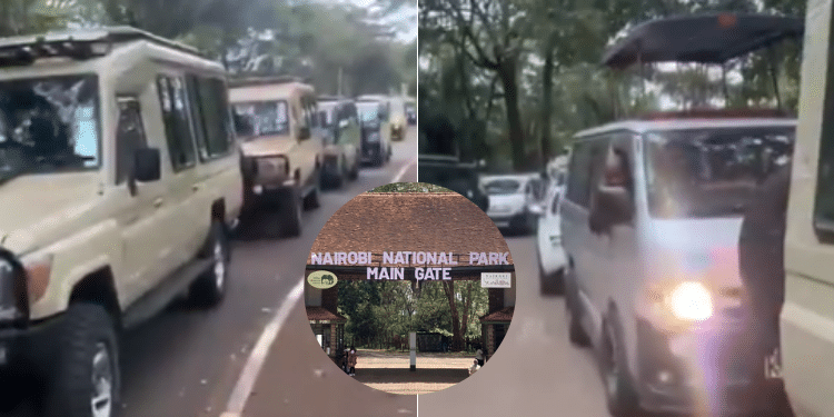 KWS Responds to Nairobi National Park Main Gate Long Queues
