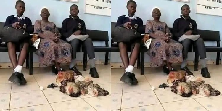 Eric Omondi Helps Grandma Who Took Chicken to Settle Ksh 245,000 Fee Arrears