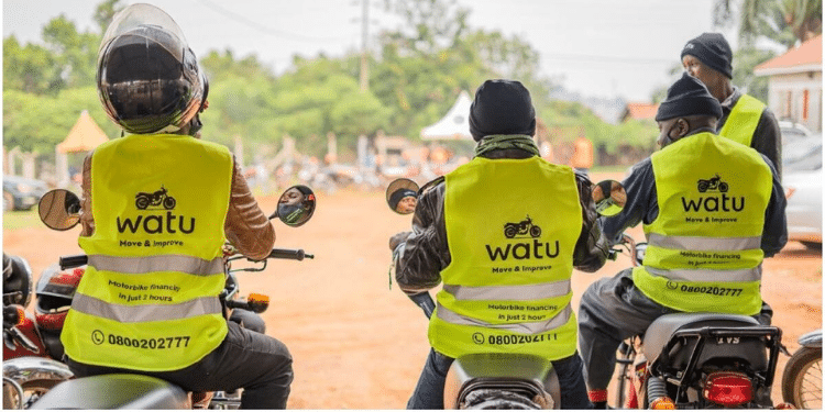 Mixed Fortunes for Watu Holdings After 84% Drop In Annual Profits