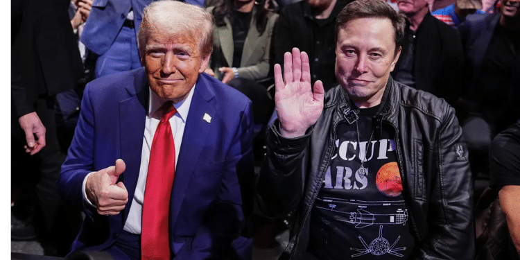 President Donald Trump with Tesla CEO Elon Musk. PHOTO/Jeff Bottari—Zuffa LLC