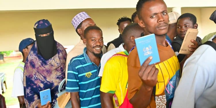 Survival Tactics For Unemployed Graduates In Kenya Survival Tactics For Unemployed Graduates In Kenya