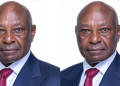 Jimnah Mbaru Set to Retire from Britam Board at Age 70