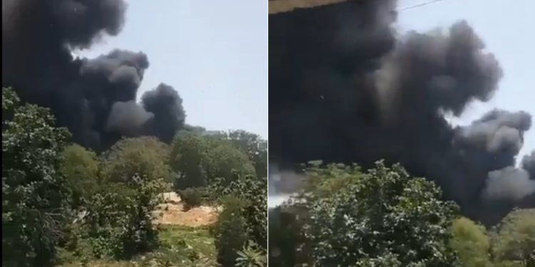 Images of the scene