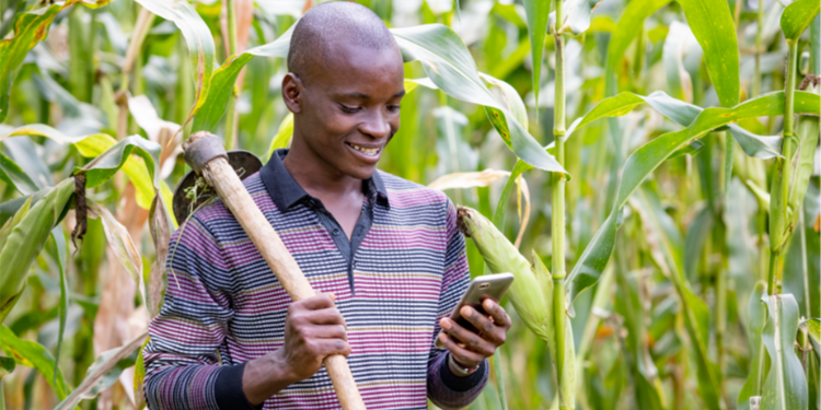 A Farmer Looking At His Phone. Photo/Ugc