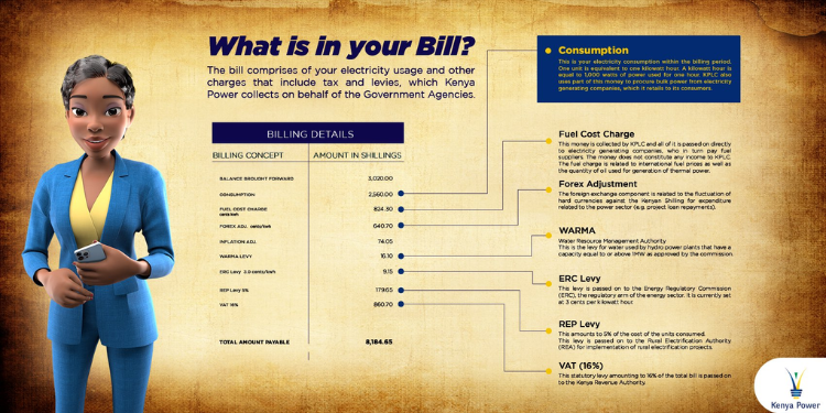 Kenya Power's breakdown of the charges levied on customers on the token sheet.