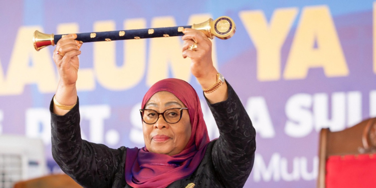 Tanzania President Samia Suluhu Hassan. PHOTO/Samia Suluhu X