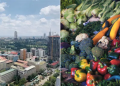 A Collage Of Nairobi City (Left) And A Display Of Grocery (Right).