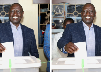 IEBC Voters information verification