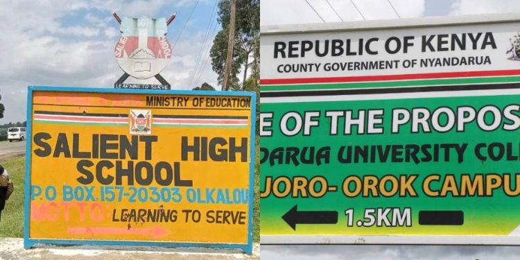 Fate Of Learners Uncertain As School Shuts Down To Pave Way For University Salient School Shut To Pave Way For Nyandarua University
