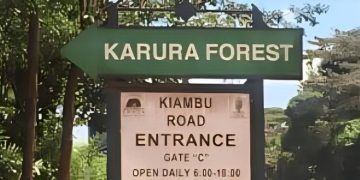KFS Clarifies Karura Forest Video, Denies Destruction Claims.