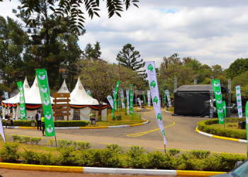 5-Star Hotels, Mall and 40-Year Lease: Inside Proposed Bomas International Convention