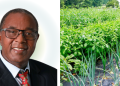 Charles Choti Mints Cash In The U.s As ‘Mama Mboga’