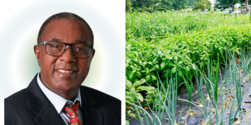 Charles Choti Mints Cash In The U.s As ‘Mama Mboga’