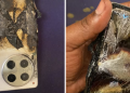 Exploded Tecno Camon 30 phone. PHOTO/Kipchirchir Mosonik