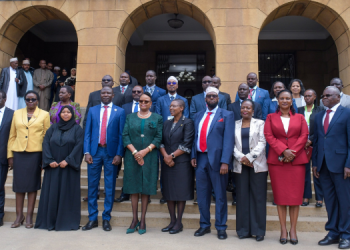 European Ambassadors And High Commissioners Statement On Iebc