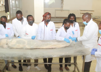 Medical students in a learning and training environment PHOTO/Standard