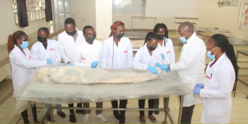 Medical students in a learning and training environment PHOTO/Standard