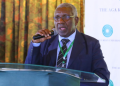 Prof. Nyaigotti Chacha Profile: Education And Career