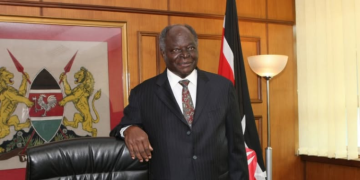 Kibaki Fires All Cabinet Ministers After Referendum Defeat