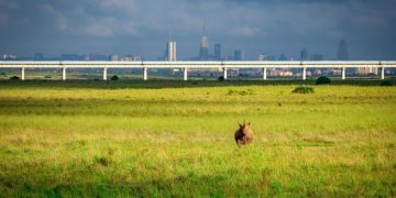 Kenya Wins Ksh 260B In Major Global Rail Dispute