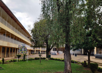 Tenwek Boys High School History, Fees, Kcse Performance And Contacts