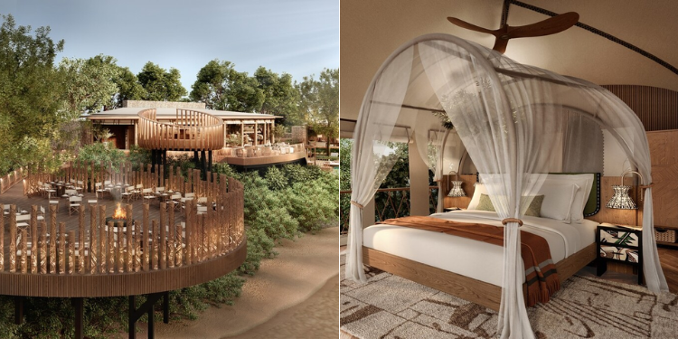 Concerns Raised Over Opening Of Luxury Camp In Maasai Mara By American Company