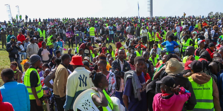 Govt Issues Update For Nyota Project Applicants Survival Tactics For Unemployed Graduates In Kenya