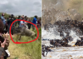 Govt Issues Fresh Guidelines After Dangerous Tourist Video In Maasai Mara