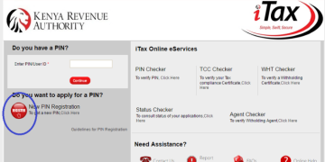 How To Apply For Your Kra Pin
