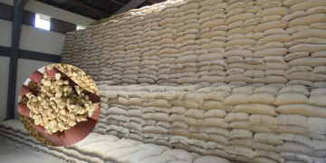 Kenya’s Food Security At Risk As Ncpb Sinks Under Debt