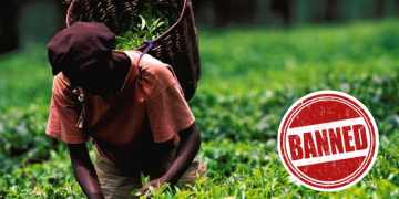 Kenya And Iran To Lift Tea Ban Within 60 Days