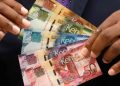 A Photo Of Someone Holding Kenyan Bank Notes.