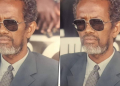 Abdikadir Hassan