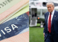 How Kenyans Could Be Affected As Trump Approves Student And Foreign Workers Visa Changes