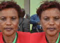 Dorothy Muthoni Ikiara Profile