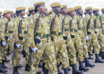 Kws Flags Mass Recruitment Targeting 150 Rangers And 30 Wardens