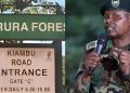 Gbm Condemns The Forceful Takeover Of Karura Forest By Kfs