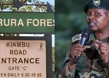 Gbm Condemns The Forceful Takeover Of Karura Forest By Kfs