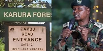 Gbm Condemns The Forceful Takeover Of Karura Forest By Kfs