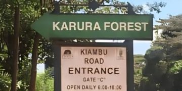Karura Forest Adopts New Ecitizen Payment Model